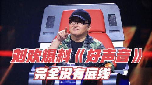 最新爆料好声音完整版,巅峰对决,独家完整版幕后揭秘 第1张 最新爆料好声音完整版,巅峰对决,独家完整版幕后揭秘 第1张